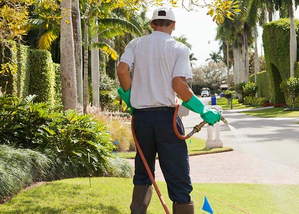 About Burkett TX Pest Control